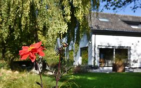 Villa Astrantia