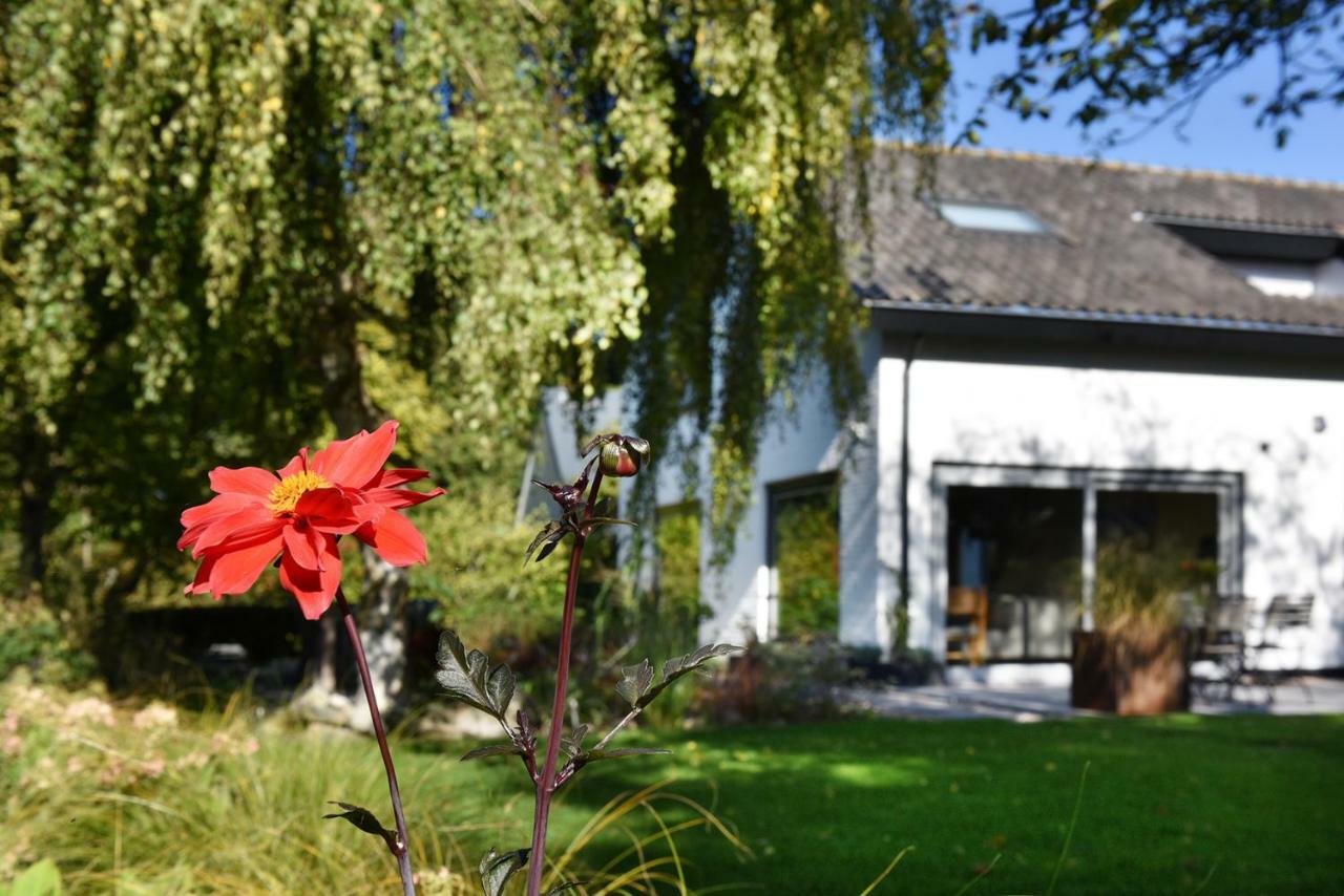 Villa Astrantia Bruinisse Buitenkant foto